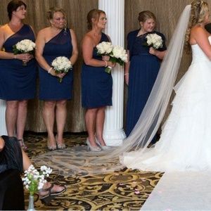 8ft Catherdal veil .